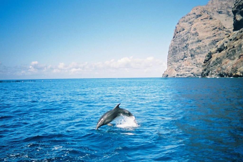 Vacanze Da Sogno San Miguel de Abona Kültér fotó